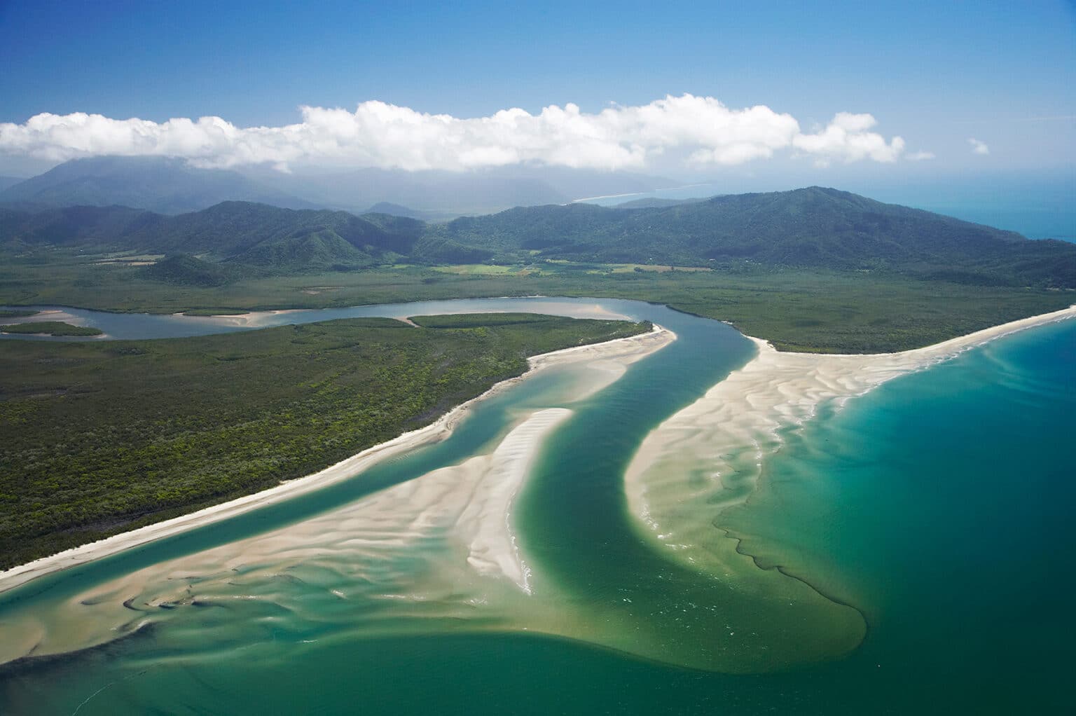 Australia - Daintree National Park