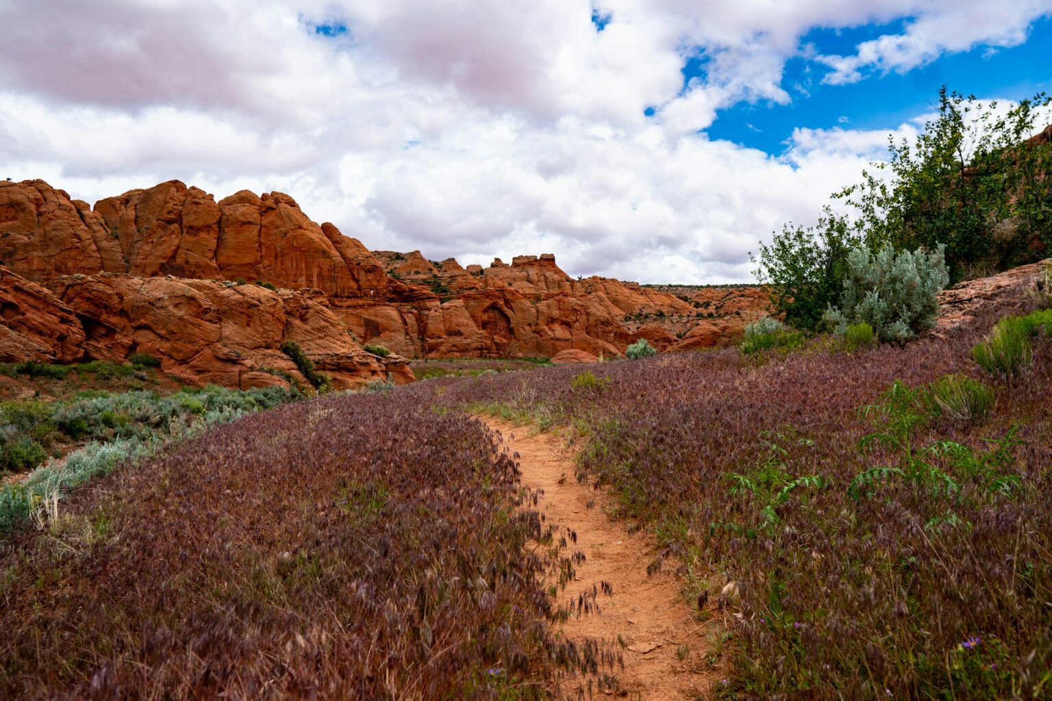 Buckskin Gulch Gorge, Utah