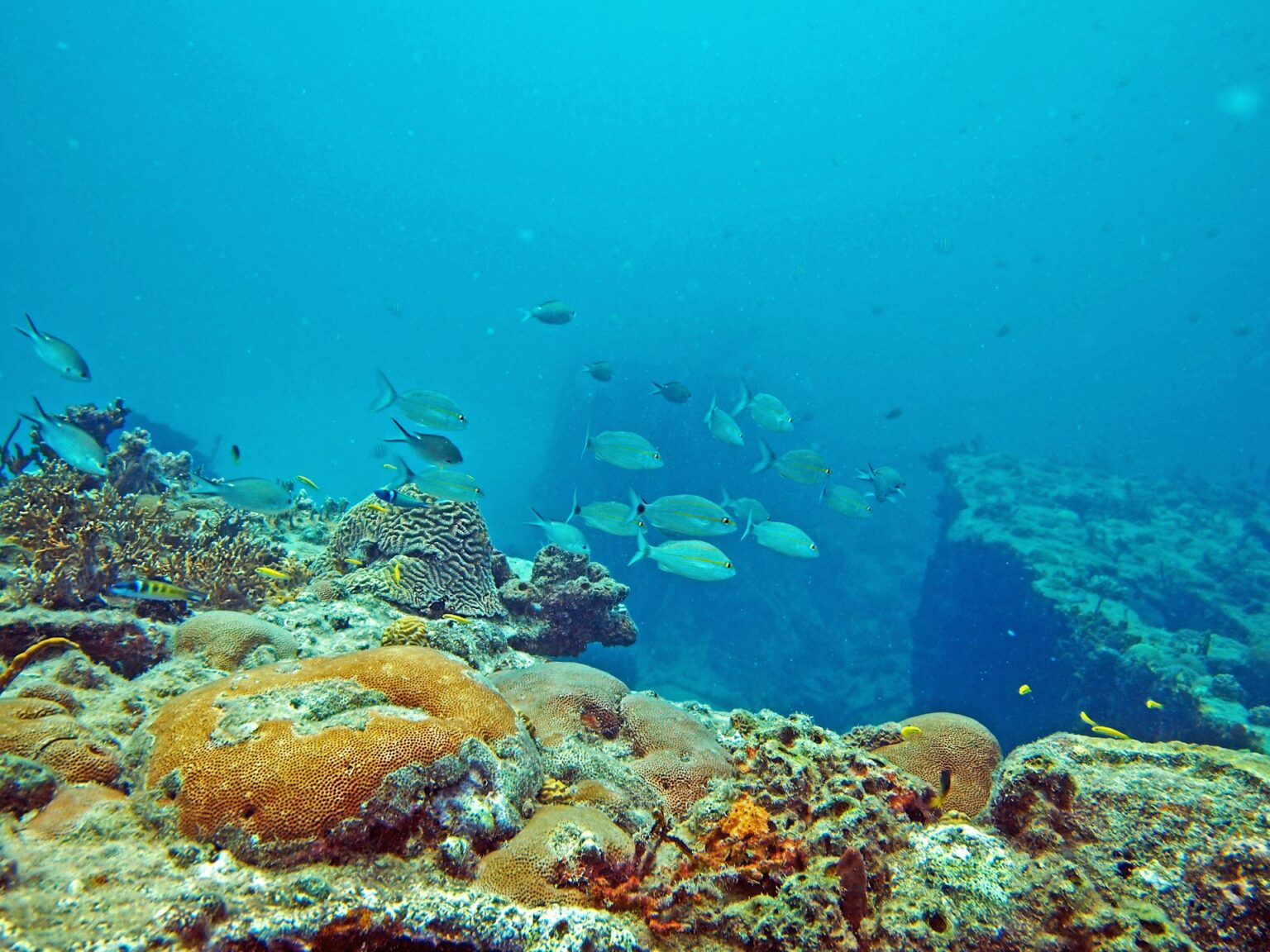 Fishing at Cauri Cliffs