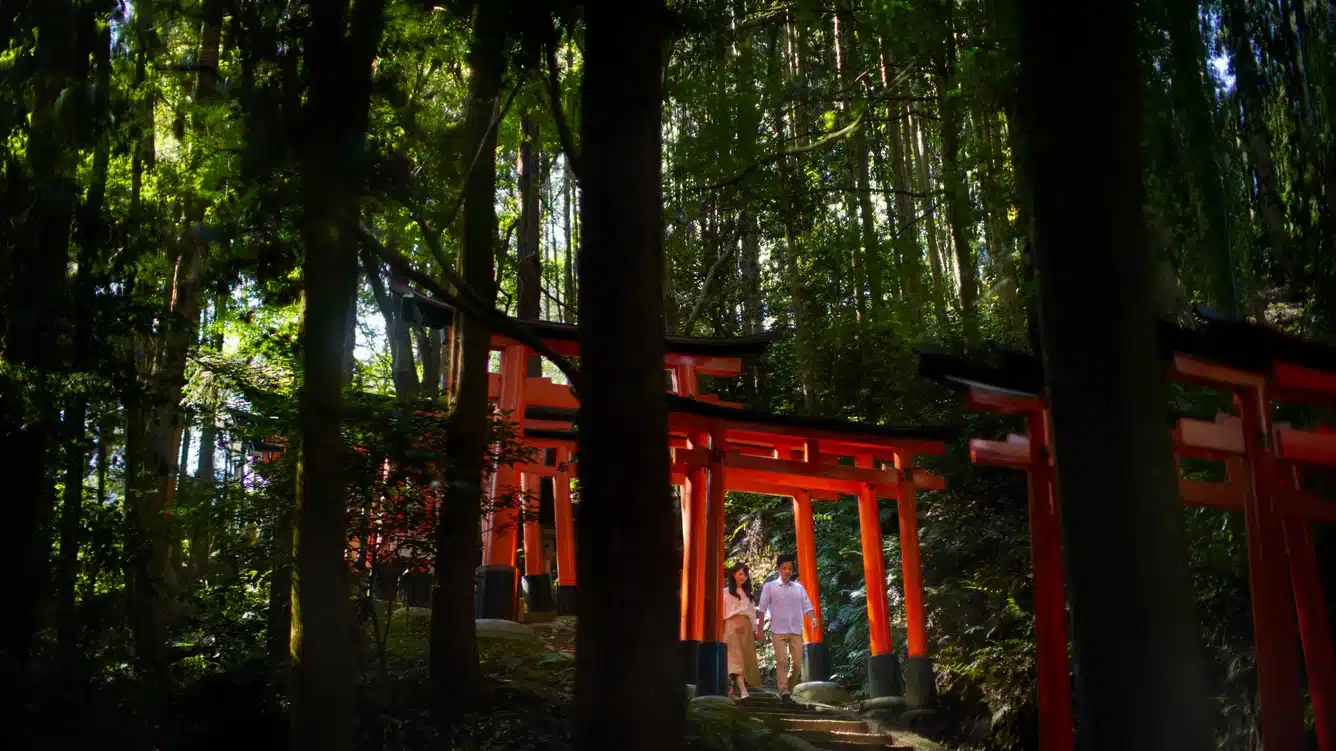 Fushimi Inari shrine - Kyoto - Japan