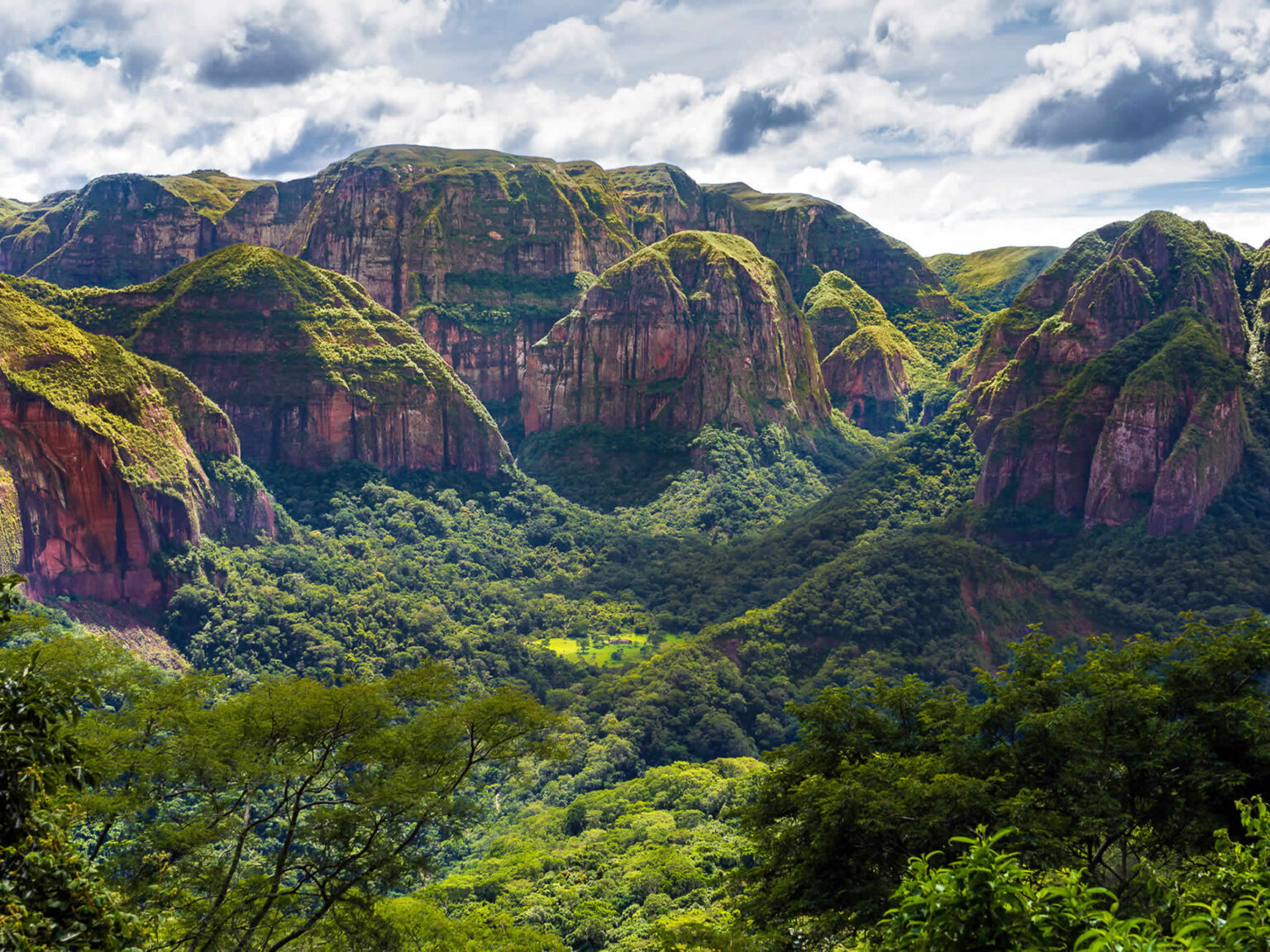 Bolivia - Amboro National Park