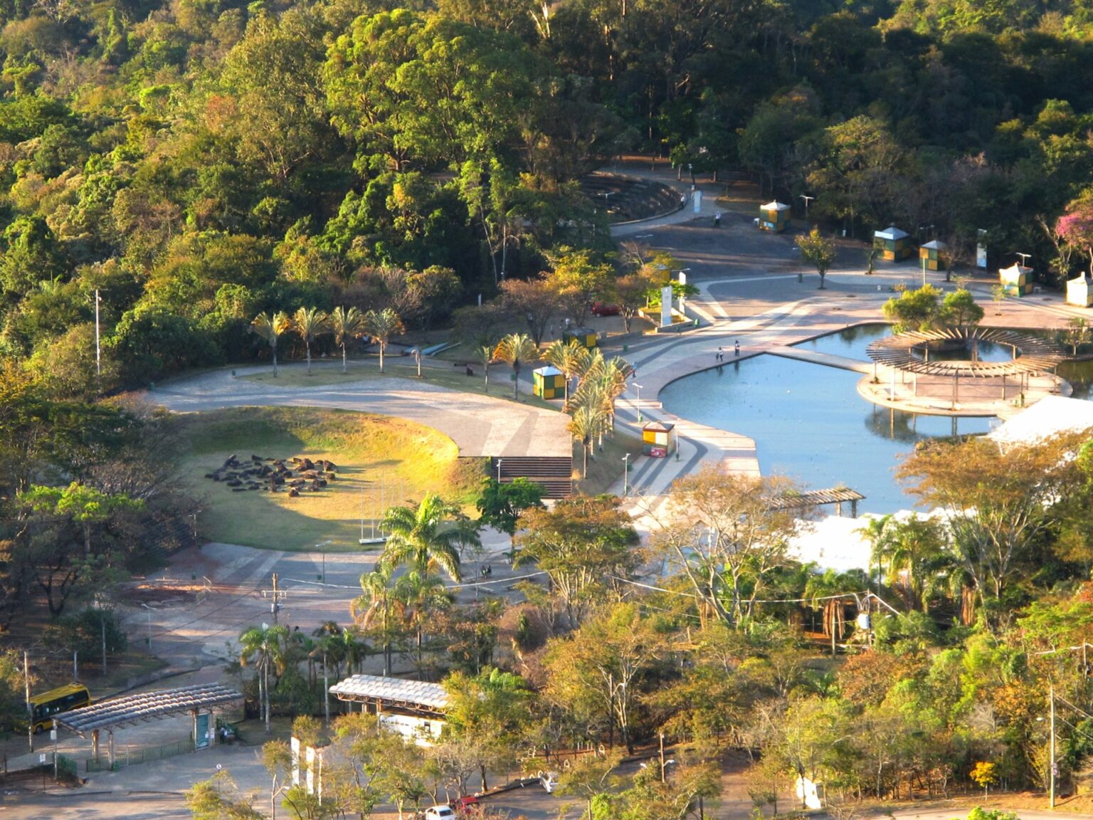 Roberto Burle Marx