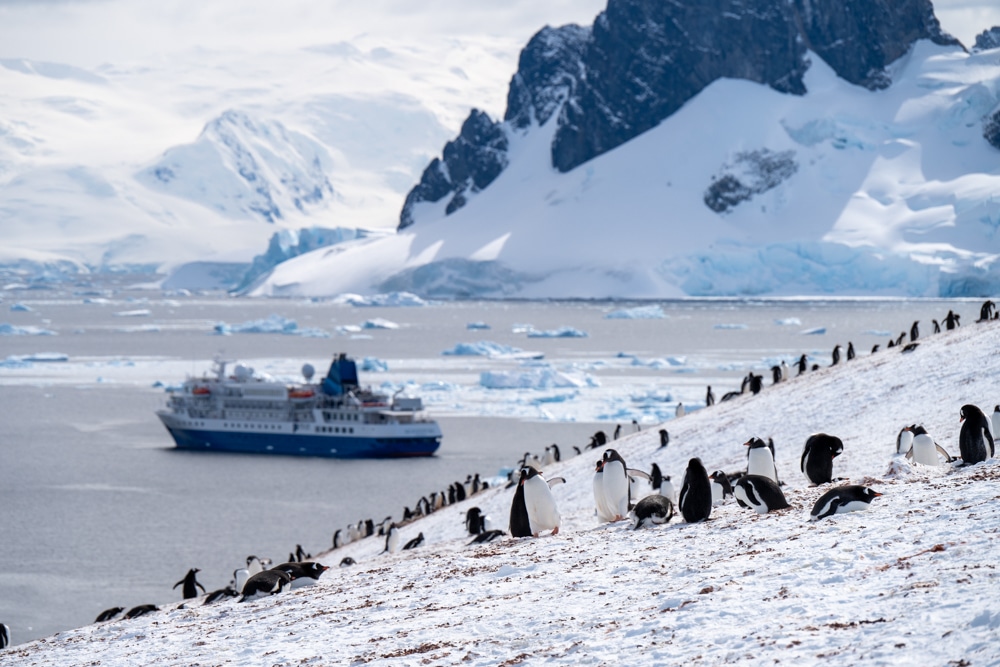 Seaventure - Danco Island