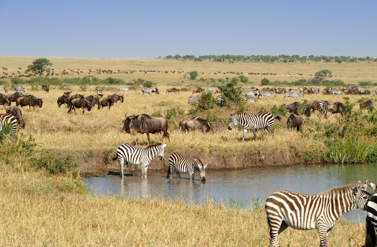 Serengeti National Park, Tanzania