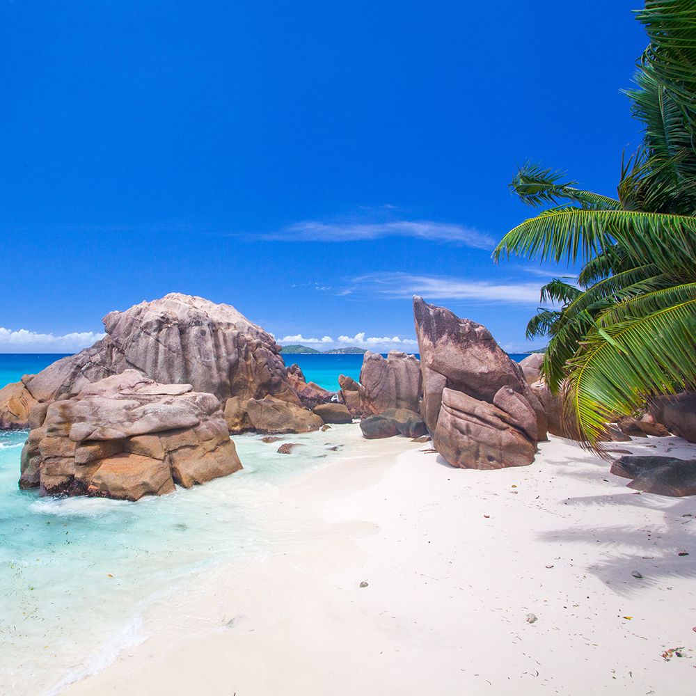 Seychelles Beaches