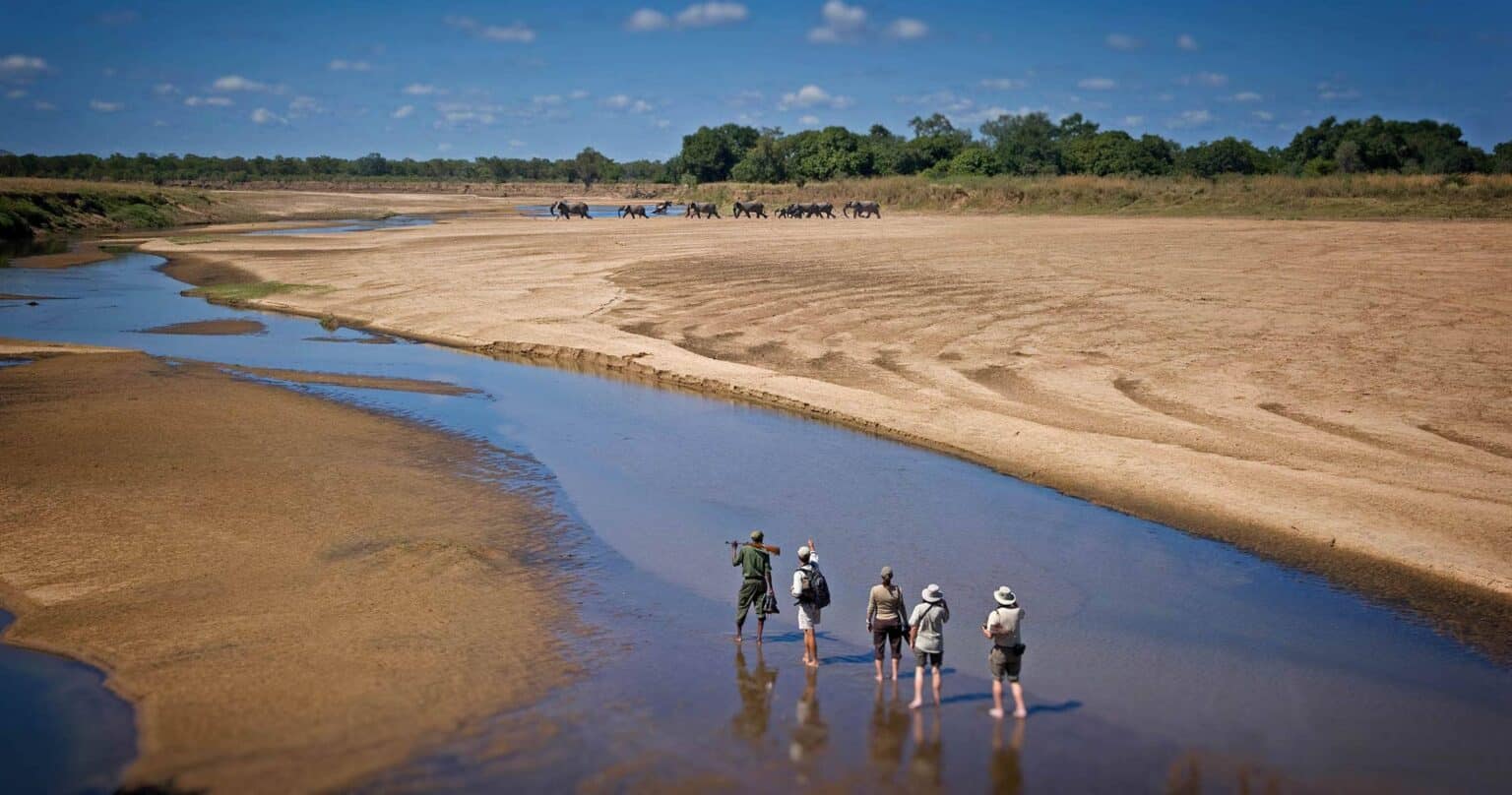 South Luangwa National Park