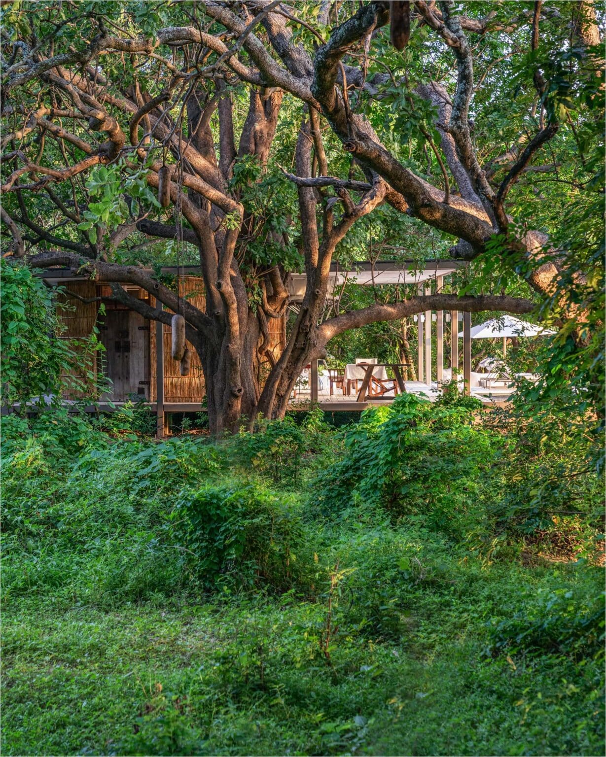 The Chinzombo, Zambia