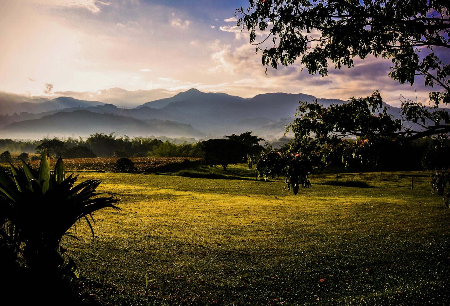 The Coffee Region, Colombia