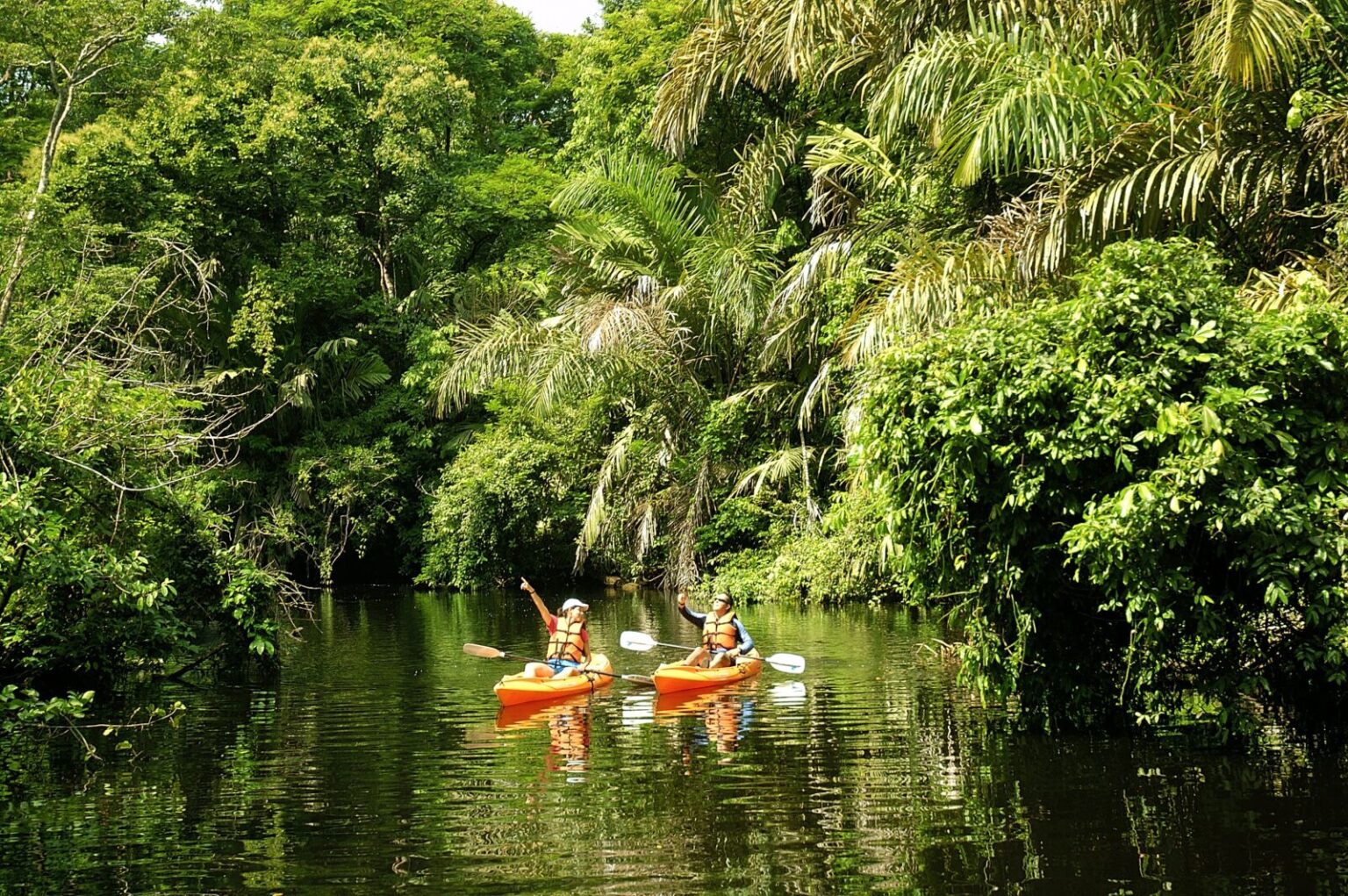 Tortuguero-Canals-Tour