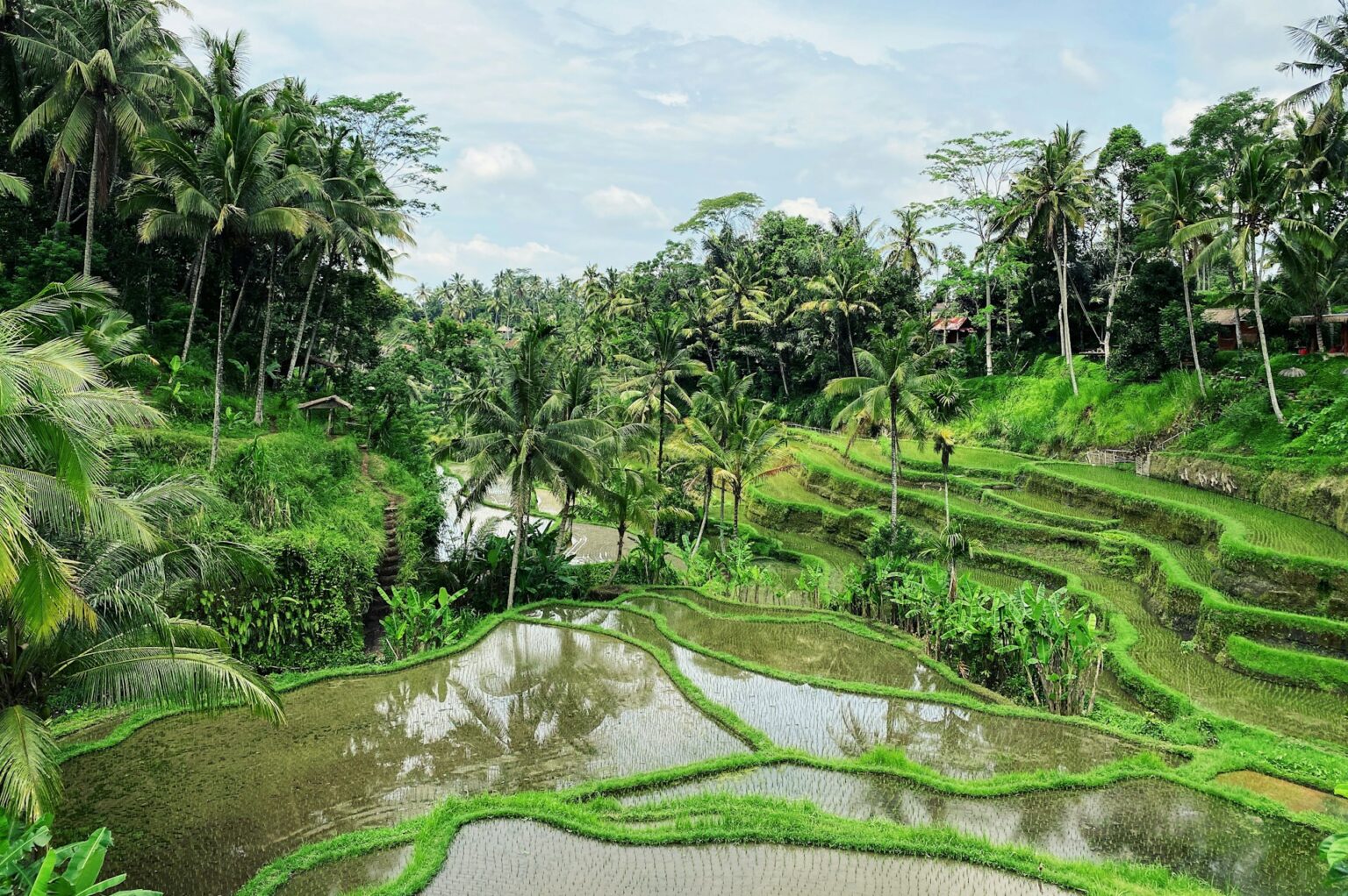 Ubud, Bali
