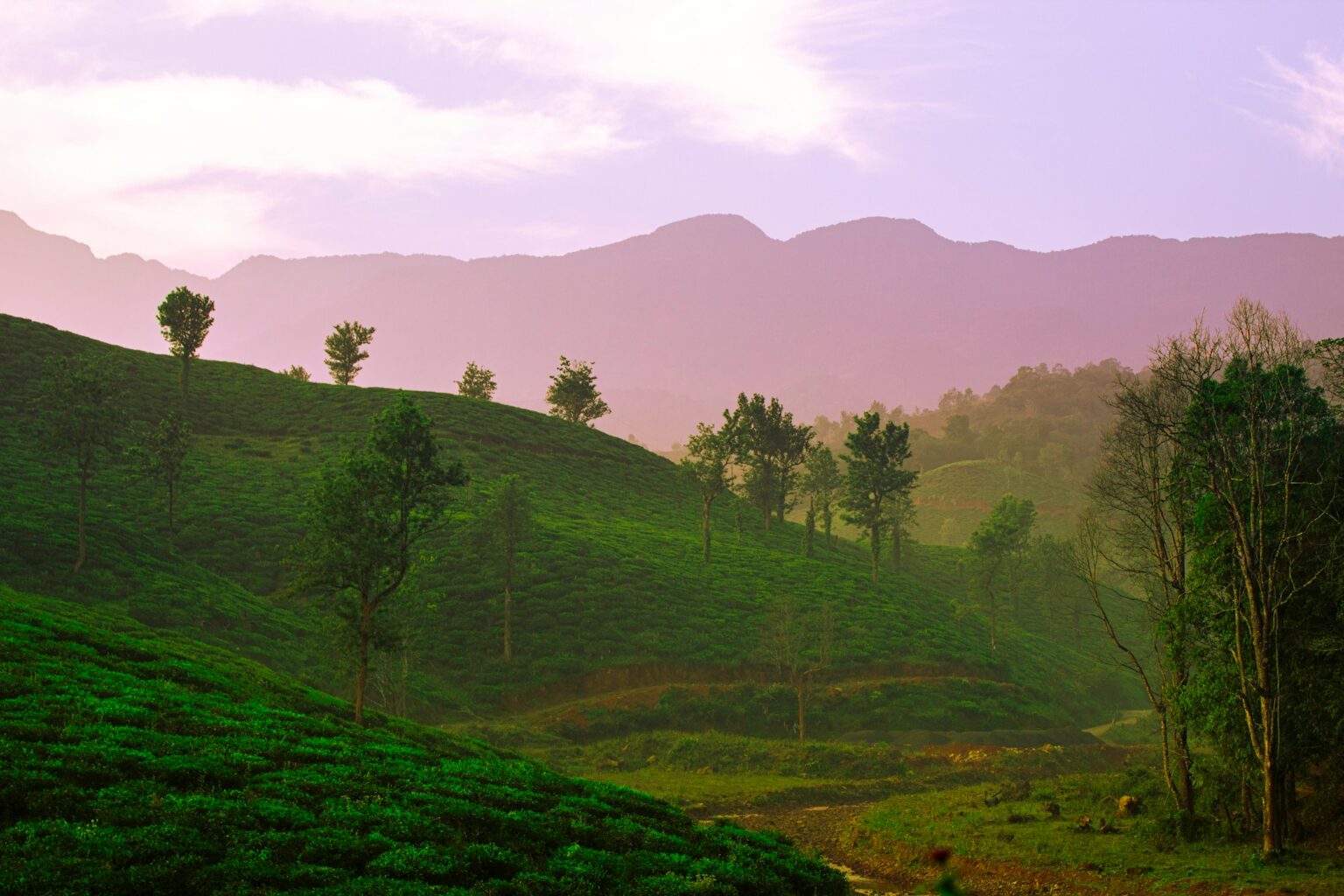 Wayanad - India