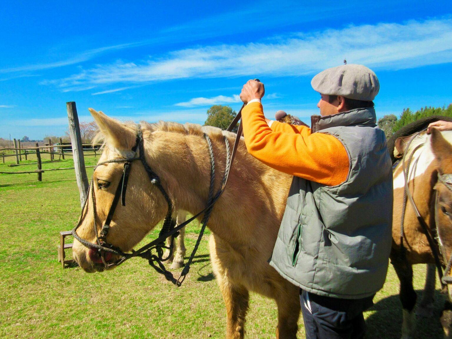 horseback riding, Argentina
