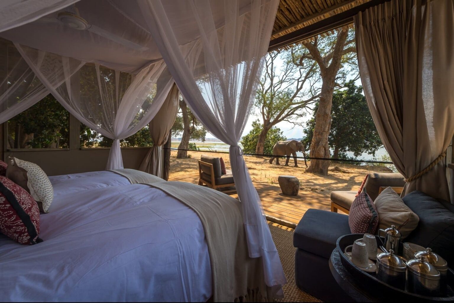 little_ruckomechi_2016-09-262e-e1575542785888