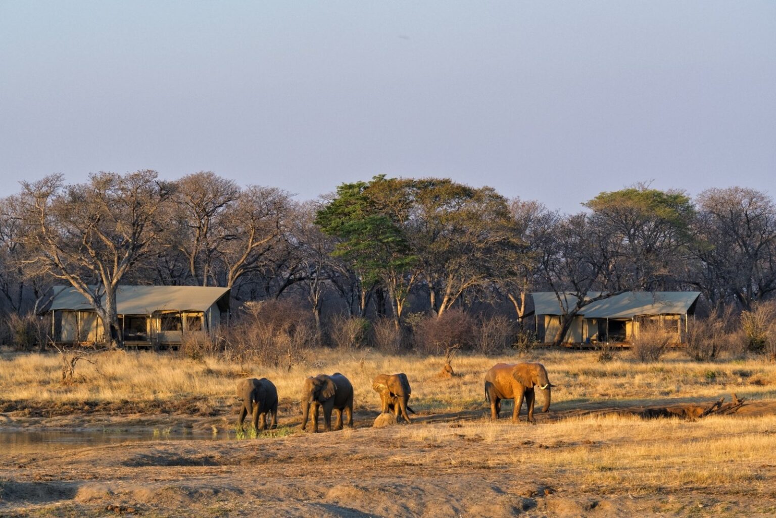 martin_harvey011-e1575542801621