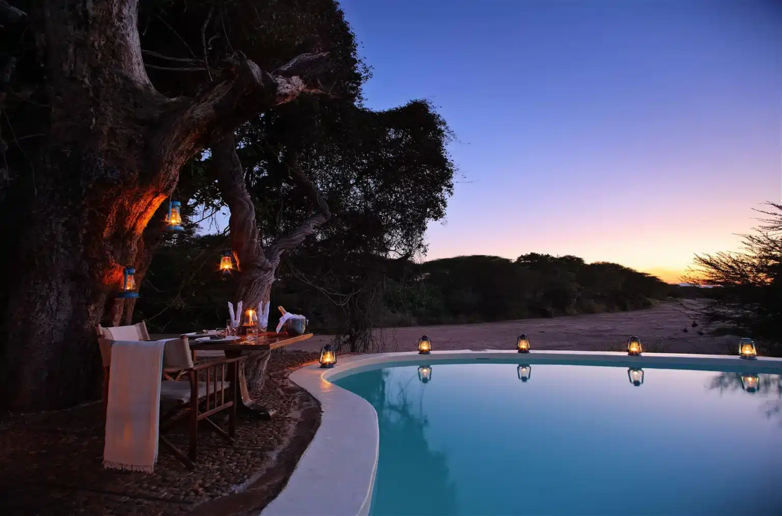 AF_Tanzania_ Ruaha_Jongomero Camp-pool