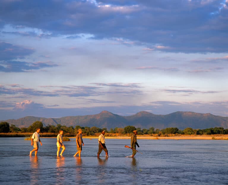 Zambia - Walking Safari Experience