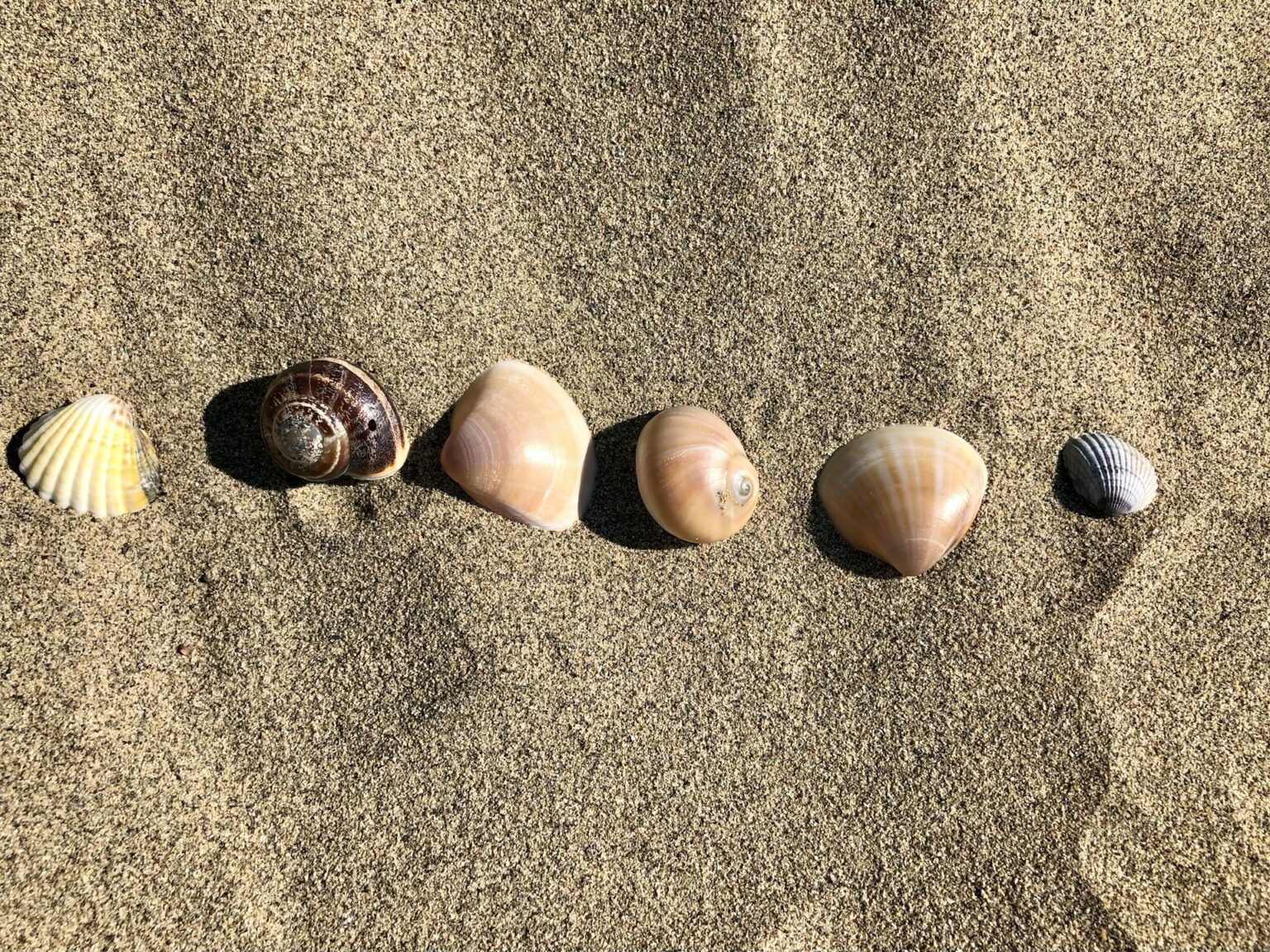 Forte Dei Marmi Italy