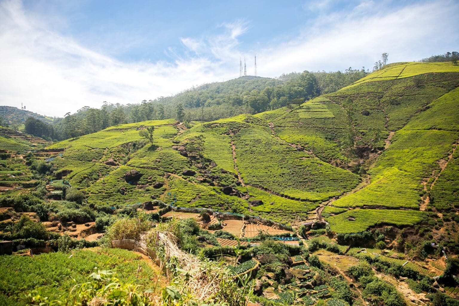 Nuwara Eliya City Tour - Sri Lanka