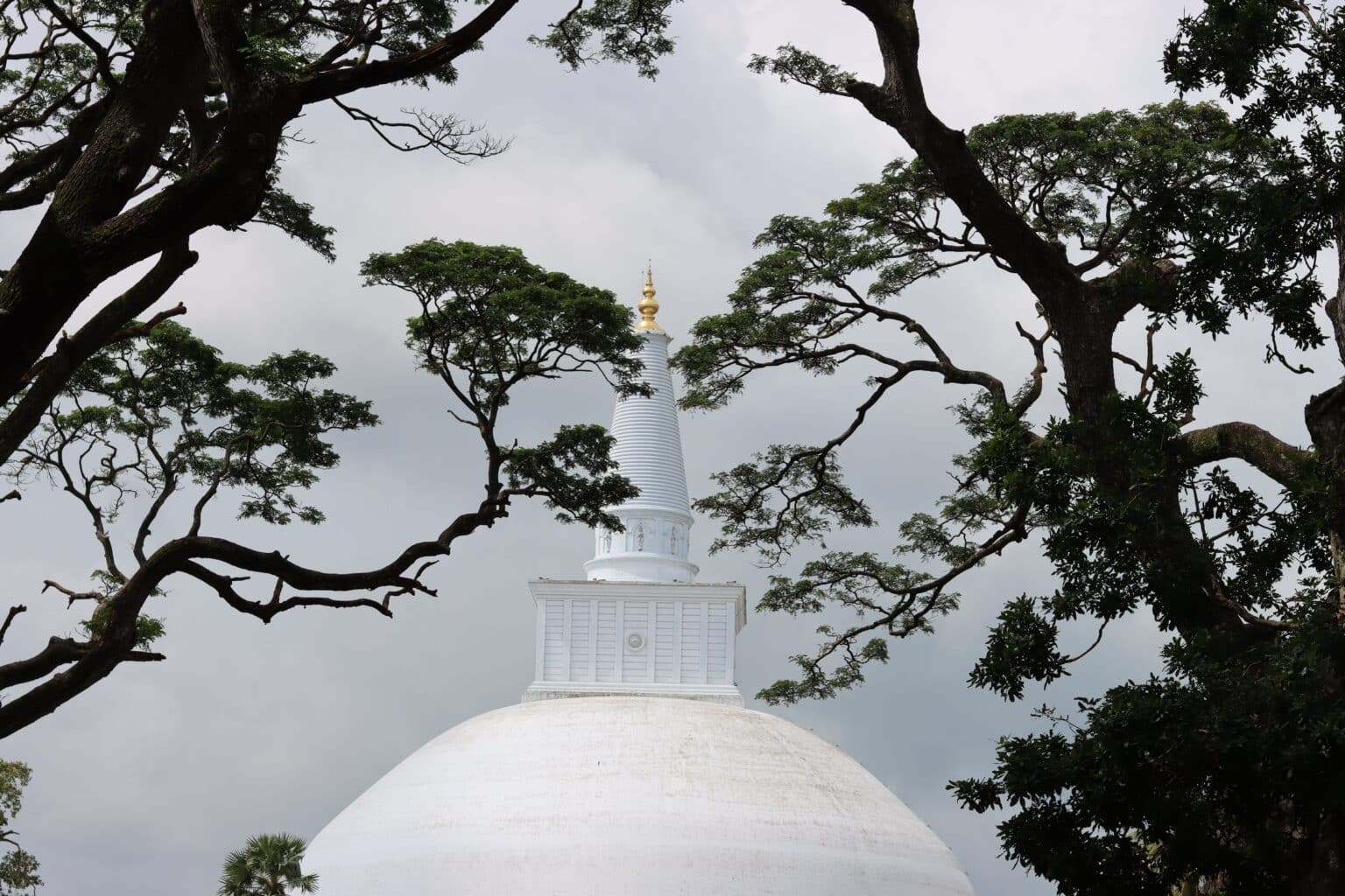 Cycling tour of Anuradhapura - Sri Lanka