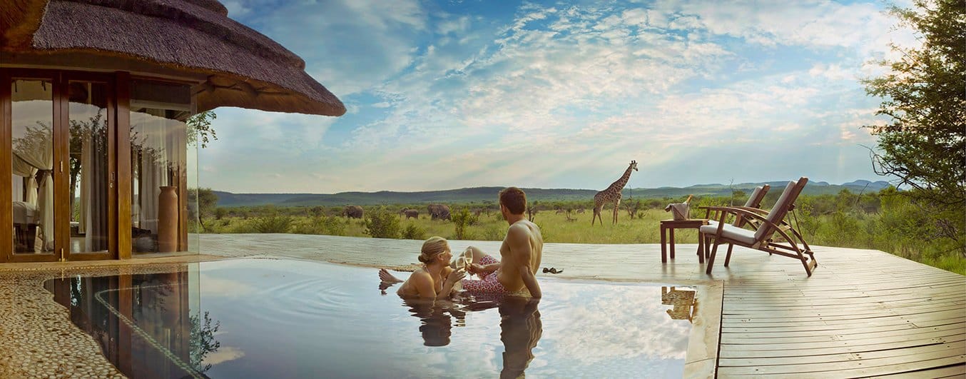 Safari - Honeymoon Botswana