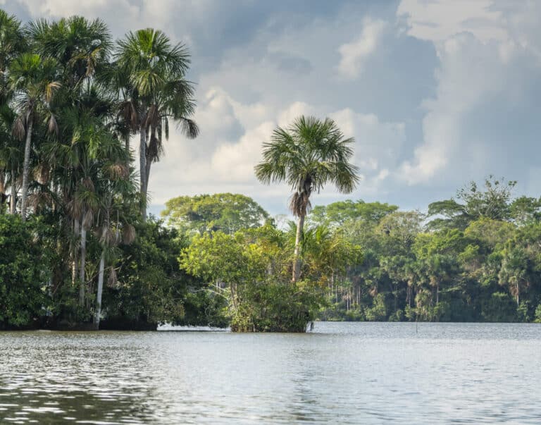 Amazon Retreat - Peru, LatAm - Experience