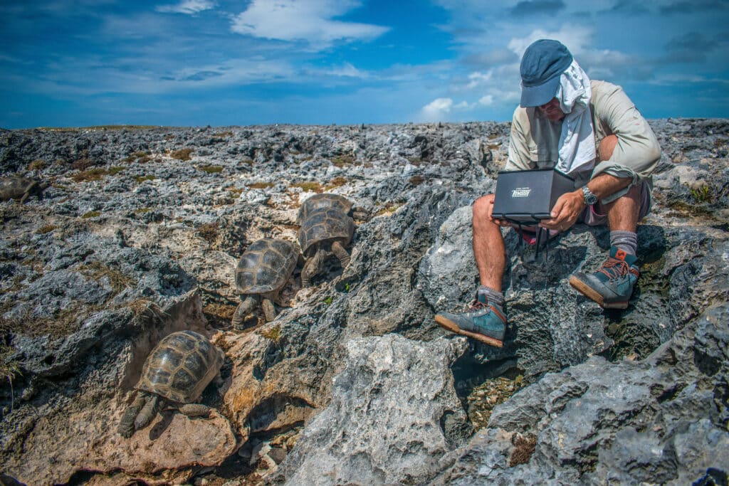 Huw Cordey - Journal - TTT '24