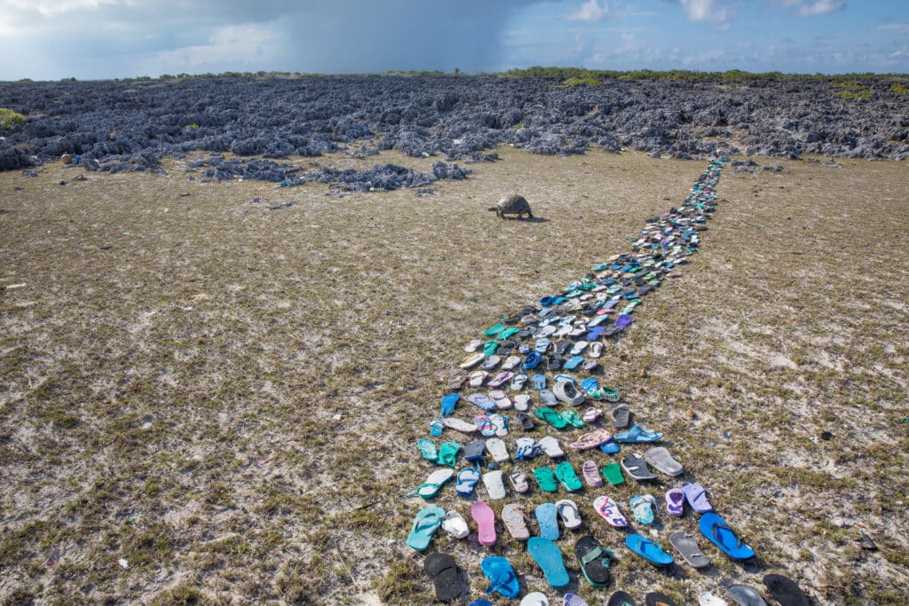 Huw Cordey - Journal - TTT '24