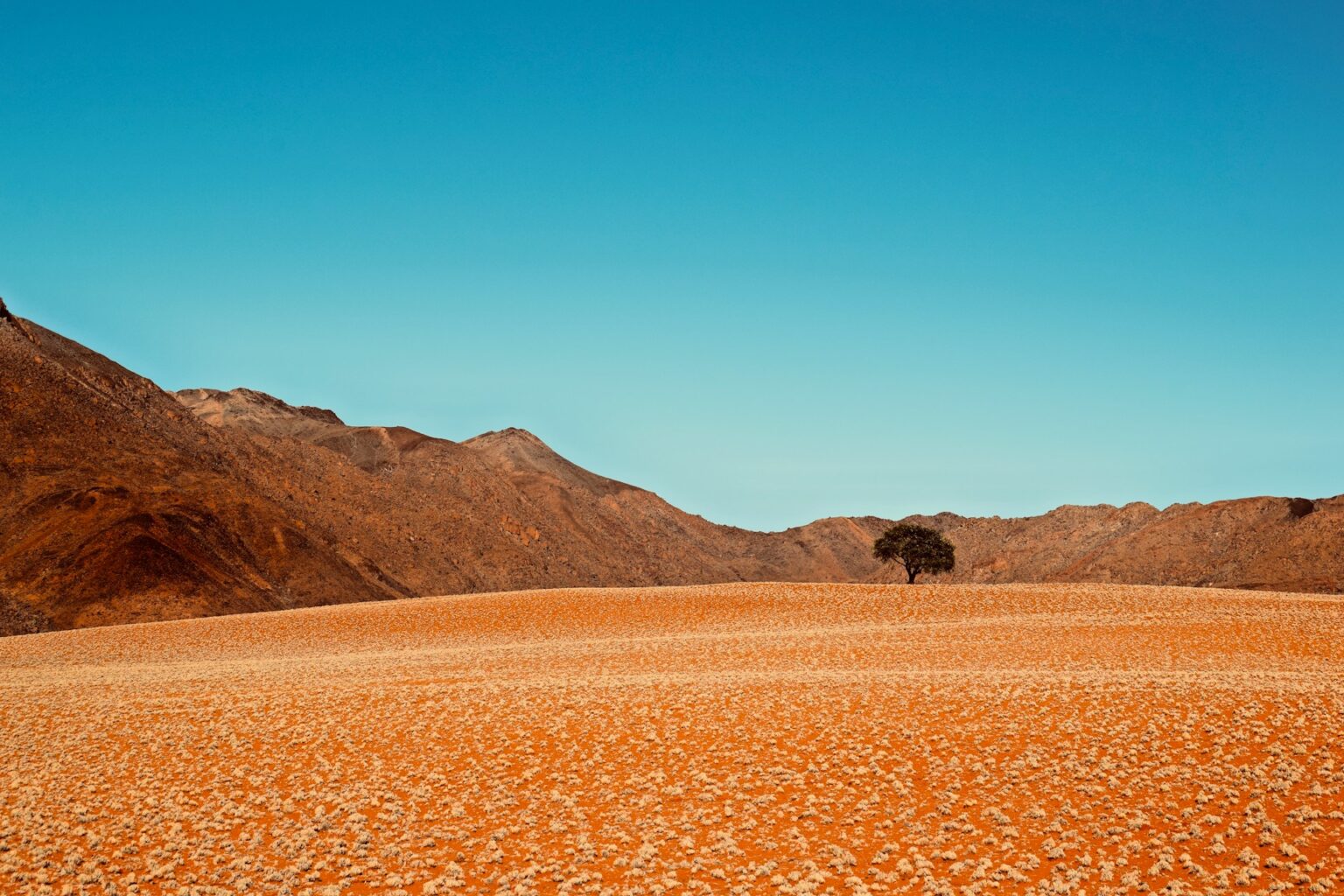 Namibrand Nature Reserve - Namibia