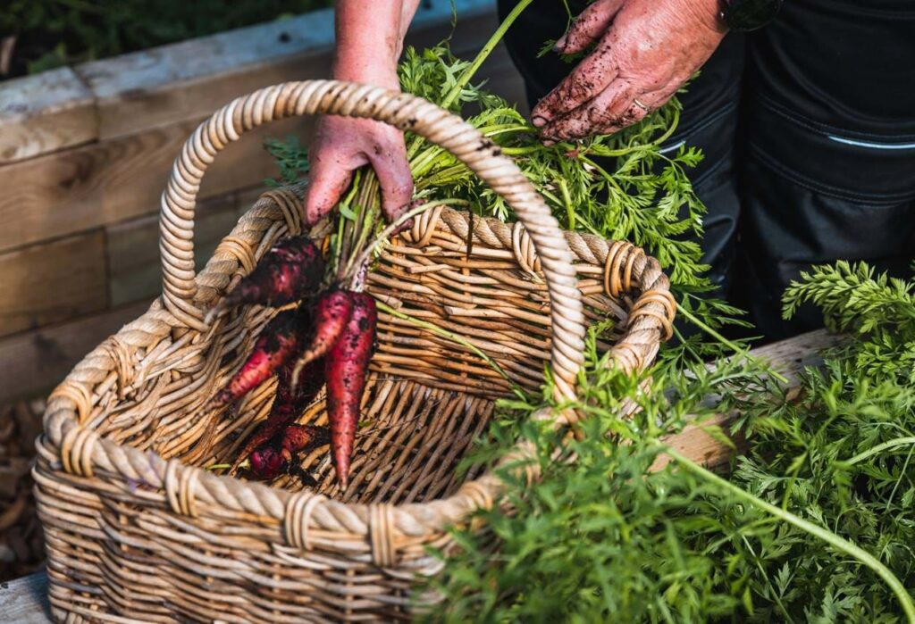 EU_England_Scottish Highland_The Torridon-farm to table