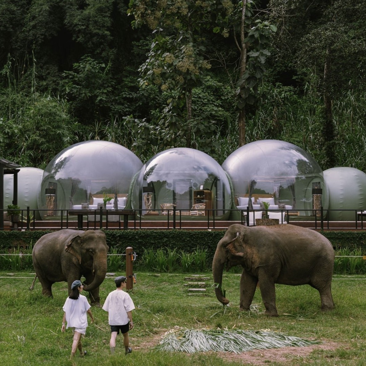 AS_Thailand_Chiang Rai_Anantara_Golden Triangle Elephant Campy Resort-bubble3