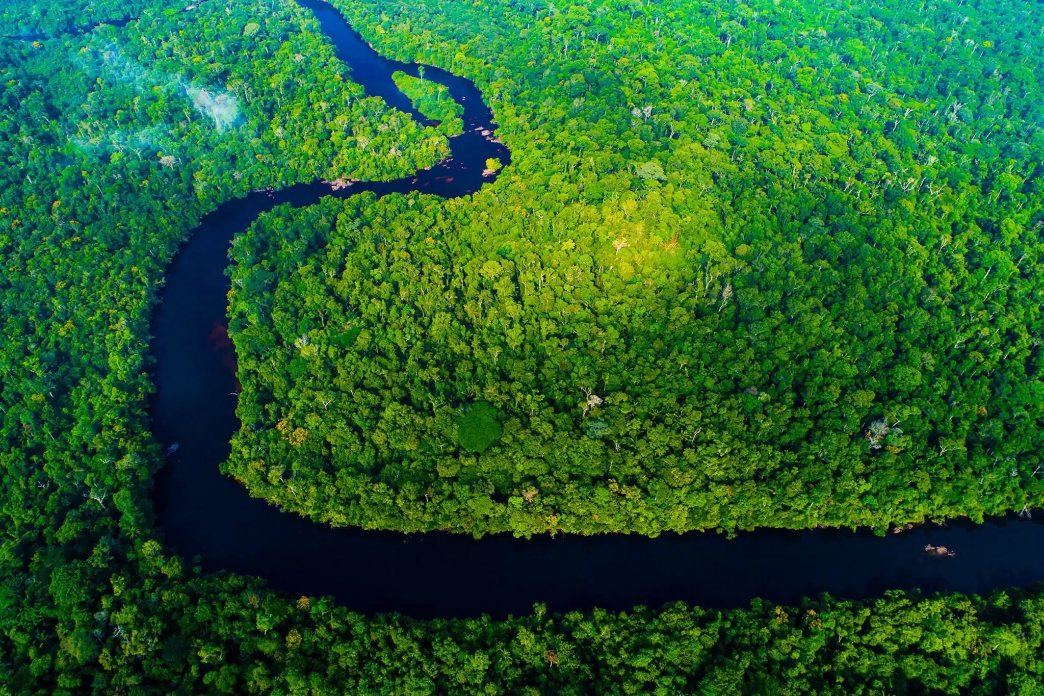 LA_Brazil_The Amazon_Cristalino Lodge-The Amazon views