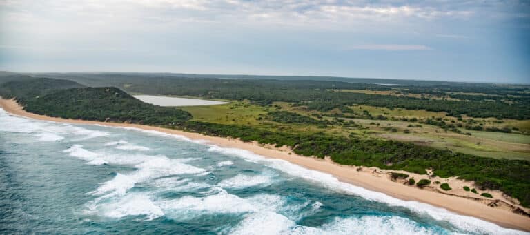 Maputo Elephant Reserve - Mozambique