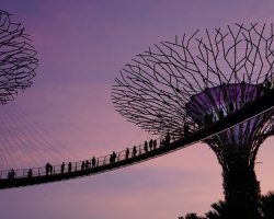 True Travel Singapore