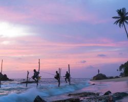 True Travel Sri Lanka