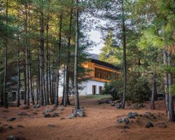 Amankora Bumthang - Through the woods