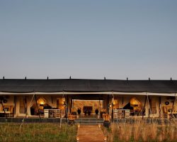 FTS_Family-Suite-scaled-1