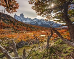 True Travel Argentina