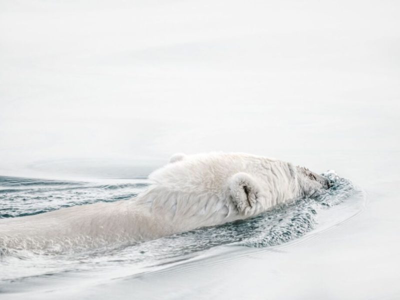 annie-spratt-etE2dQxaK0Y-unsplash-1030x687